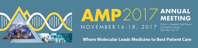 AMP 2017 Website Bannerv5FINAL.jpg