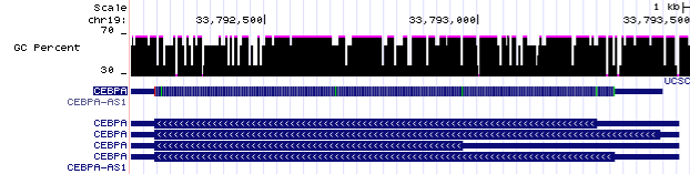 CEBPA Graph_Myeloid Graph.png