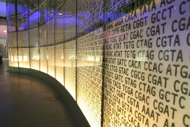 DNA_London_Museum.jpg
