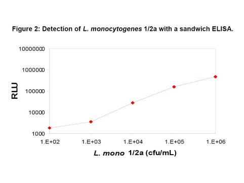 Detection of L. monocytogenes.jpg