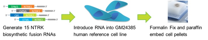 RG Figure 1