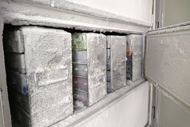 Remnant specimen freezer.jpg