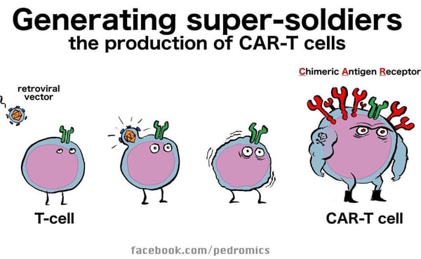 car-t cells